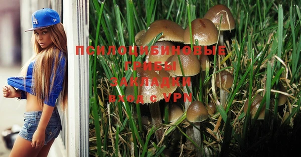 кокаин колумбия Белокуриха