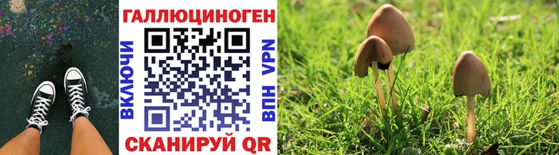 Галлюциногенные грибы мухоморы  где продают   Теберда 